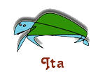 Ita Turtle